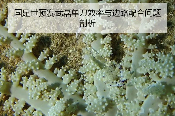 国足世预赛武磊单刀效率与边路配合问题剖析
